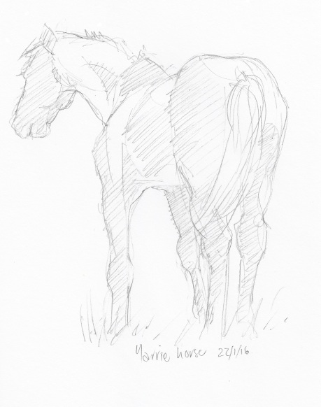 kunst-Yarrabah-horse